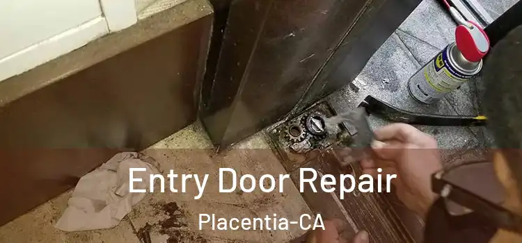  Entry Door Repair Placentia-CA